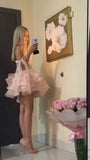 Vintage Pink Sweetheart Tulle A-line Strapless Homecoming Dress HZ1024