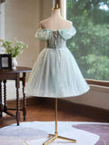 New Fashion 3D Flower Design A-line Off-the-shoulder Puffy Homecoming Dress HZ1024