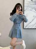 Vintage Fashion Design A-Line Long-sleeved Denim Dress HZ1024