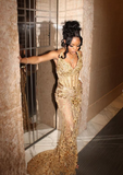 Gorgeous Gold Mermaid Halter Neck Lace Beaded Train Formal Prom Gown Evening Dress HZ1024