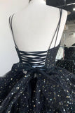 Black V-Neck Tulle Long Prom Dresses, High Low Evening Party Dresses HZ1024