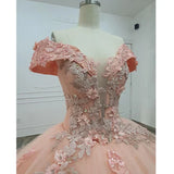 Gorgeous Pink Applique Off-the-shoulder Sweet 16 Quinceanera A-Line Floor-length Prom Dress Birthday Dress Evening Dress Ball Gown HZ1024